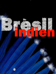 Brésil indien : les arts des amérindiens du Brésil